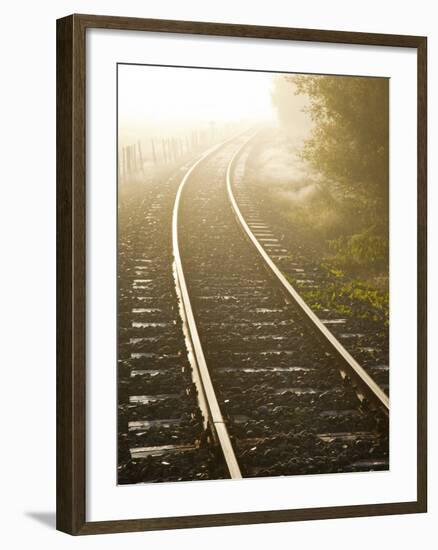 A Light Fog and Frost on the Forgotten World Road in New Zealand's North Island.-Sergio Ballivian-Framed Photographic Print