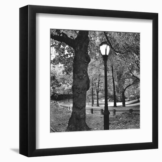 A Light in Central Park-Erin Clark-Framed Art Print