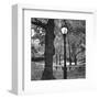 A Light in Central Park-Erin Clark-Framed Art Print