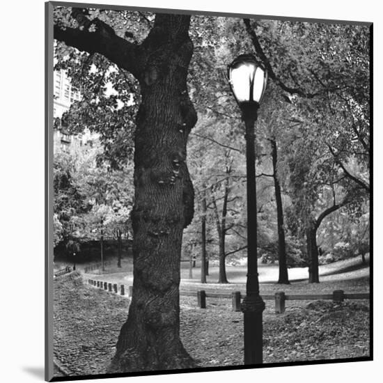 A Light in Central Park-Erin Clark-Mounted Art Print