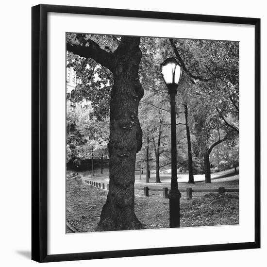 A Light in Central Park-Erin Clark-Framed Art Print