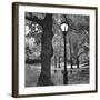 A Light in Central Park-Erin Clark-Framed Art Print