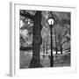 A Light in Central Park-Erin Clark-Framed Art Print