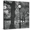 A Light in Central Park-Erin Clark-Stretched Canvas