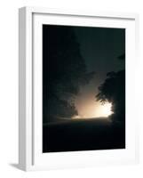 A Light in the Dark-Design Fabrikken-Framed Photographic Print