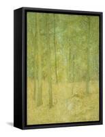 A Light in the Forest-Soren Emil Carlsen-Framed Stretched Canvas