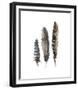 A Light Touch I-Rebecca Meyers-Framed Giclee Print