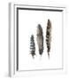 A Light Touch I-Rebecca Meyers-Framed Giclee Print