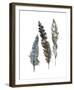 A Light Touch II-Rebecca Meyers-Framed Giclee Print