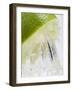 A Lime Being Juiced-null-Framed Photographic Print