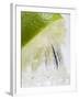 A Lime Being Juiced-null-Framed Photographic Print