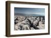 A Limestone Pavement with well developed Clints and Grykes, Austwick, Yorkshire, UK-Graham Eaton-Framed Photographic Print