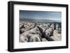 A Limestone Pavement with well developed Clints and Grykes, Austwick, Yorkshire, UK-Graham Eaton-Framed Photographic Print