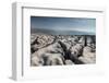 A Limestone Pavement with well developed Clints and Grykes, Austwick, Yorkshire, UK-Graham Eaton-Framed Photographic Print