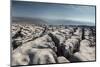 A Limestone Pavement with well developed Clints and Grykes, Austwick, Yorkshire, UK-Graham Eaton-Mounted Photographic Print