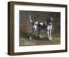 A Limier Briquet Hound-Rosa Bonheur-Framed Giclee Print