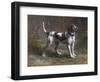 A Limier Briquet Hound-Rosa Bonheur-Framed Giclee Print