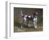 A Limier Briquet Hound-Rosa Bonheur-Framed Giclee Print