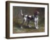 A Limier Briquet Hound-Rosa Bonheur-Framed Giclee Print