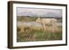 A Lincolnshire Pasture, C.1882-3 (Oil on Canvas)-Joseph Crawhall-Framed Giclee Print