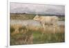 A Lincolnshire Pasture, C.1882-3 (Oil on Canvas)-Joseph Crawhall-Framed Giclee Print