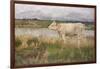 A Lincolnshire Pasture, C.1882-3 (Oil on Canvas)-Joseph Crawhall-Framed Giclee Print