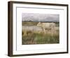 A Lincolnshire Pasture-Joseph Crawhall-Framed Premium Giclee Print