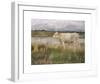 A Lincolnshire Pasture-Joseph Crawhall-Framed Premium Giclee Print