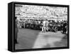 A Line of Alfa Romeos at the Monaco Grand Prix, 1934-null-Framed Stretched Canvas