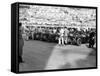 A Line of Alfa Romeos at the Monaco Grand Prix, 1934-null-Framed Stretched Canvas