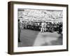 A Line of Alfa Romeos at the Monaco Grand Prix, 1934-null-Framed Photographic Print