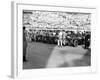 A Line of Alfa Romeos at the Monaco Grand Prix, 1934-null-Framed Photographic Print