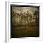 A Line of Pines-John Golden-Framed Art Print