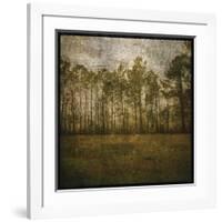 A Line of Pines-John Golden-Framed Giclee Print