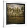 A Line of Pines-John W Golden-Framed Giclee Print