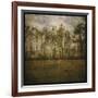 A Line of Pines-John W Golden-Framed Giclee Print