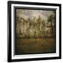 A Line of Pines-John W Golden-Framed Giclee Print