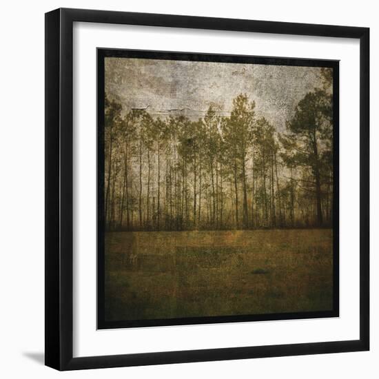 A Line of Pines-John W Golden-Framed Giclee Print
