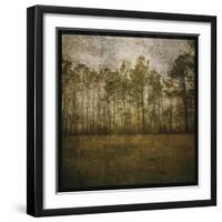 A Line of Pines-John W Golden-Framed Giclee Print