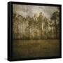 A Line of Pines-John W Golden-Framed Stretched Canvas