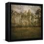 A Line of Pines-John W Golden-Framed Stretched Canvas