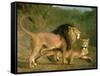 A Lion and a Lioness in a Rocky Valley-Jacques-Laurent Agasse-Framed Stretched Canvas