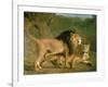 A Lion and a Lioness in a Rocky Valley-Jacques-Laurent Agasse-Framed Giclee Print