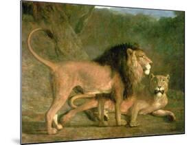 A Lion and a Lioness in a Rocky Valley-Jacques-Laurent Agasse-Mounted Giclee Print