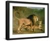 A Lion and a Lioness in a Rocky Valley-Jacques-Laurent Agasse-Framed Giclee Print