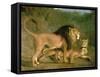 A Lion and a Lioness in a Rocky Valley-Jacques-Laurent Agasse-Framed Stretched Canvas