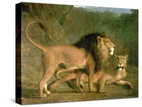 A Lion and a Lioness in a Rocky Valley-Jacques-Laurent Agasse-Stretched Canvas