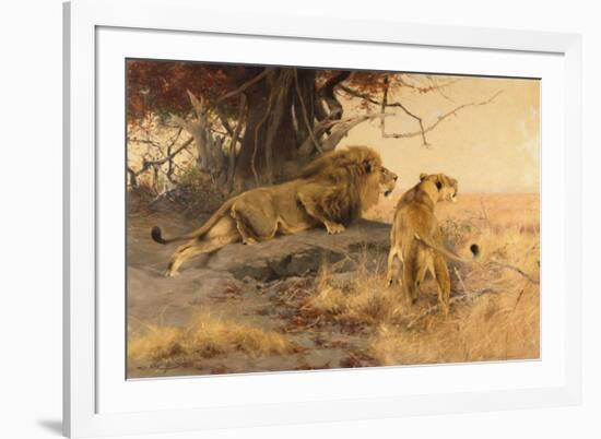 A lion and a lioness in the Savannah, 1912-Wilhelm Kuhnert-Framed Giclee Print