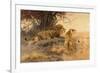 A lion and a lioness in the Savannah, 1912-Wilhelm Kuhnert-Framed Giclee Print