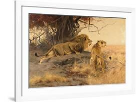 A lion and a lioness in the Savannah, 1912-Wilhelm Kuhnert-Framed Giclee Print